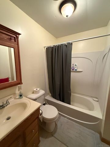 3920 Sheldon Road, Argyle Twp, MI 48472