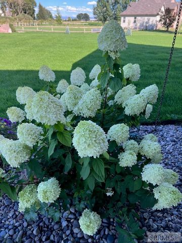 3843 E 446 N, Rigby, ID 83442