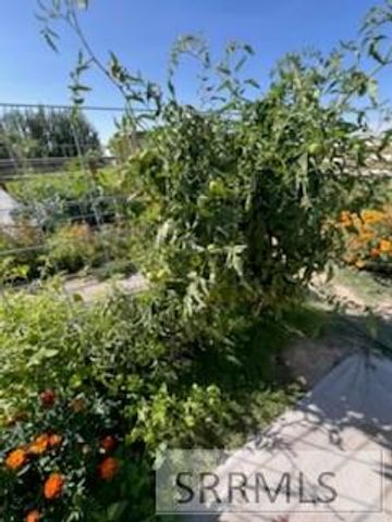 3843 E 446 N, Rigby, ID 83442