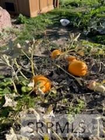 3843 E 446 N, Rigby, ID 83442