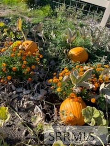 3843 E 446 N, Rigby, ID 83442