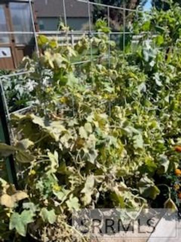 3843 E 446 N, Rigby, ID 83442