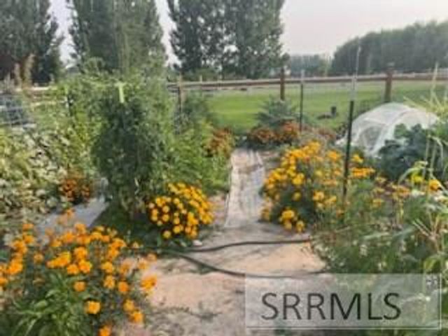 3843 E 446 N, Rigby, ID 83442