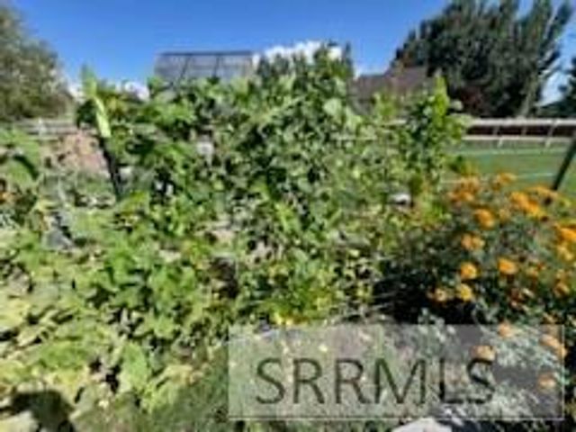 3843 E 446 N, Rigby, ID 83442