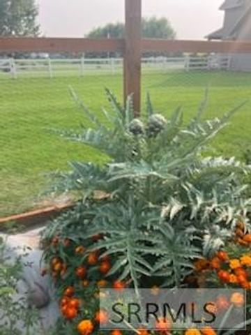 3843 E 446 N, Rigby, ID 83442