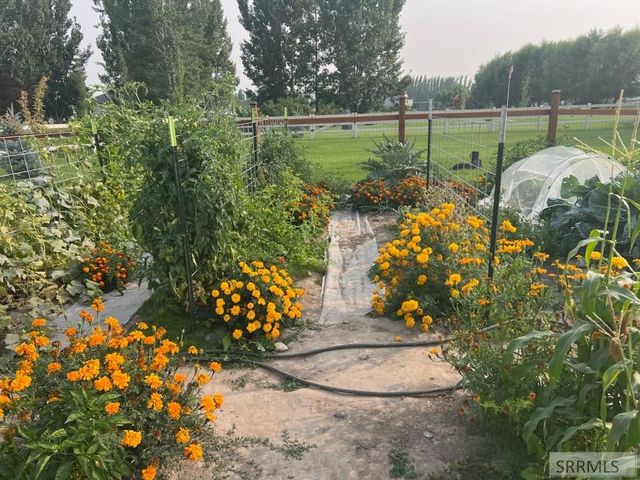 3843 E 446 N, Rigby, ID 83442