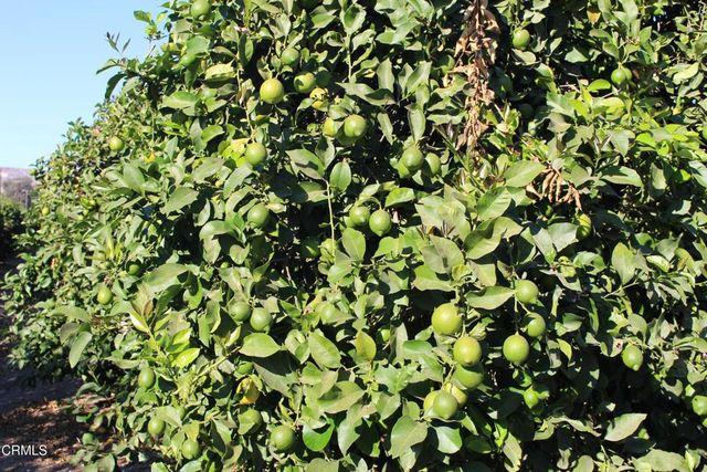 0 Price Road, Somis, CA 93066