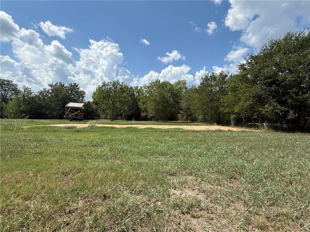 TBD King - Lot 2 Road, North Zulch, TX 77872 — exterior