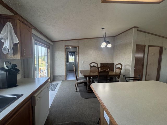 1601 State Highway B B, Crane, MO 65633