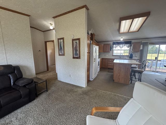 1601 State Highway B B, Crane, MO 65633