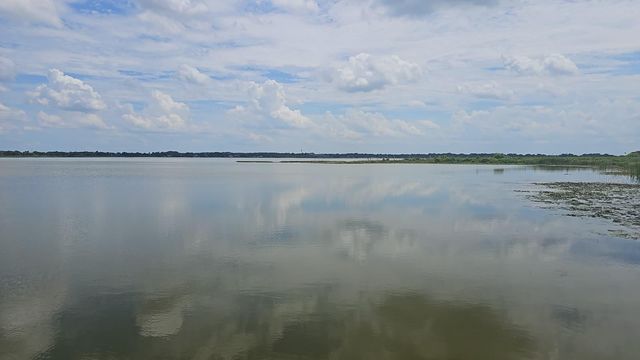 120 CALADIUM AVENUE, Lake Alfred, FL 33850