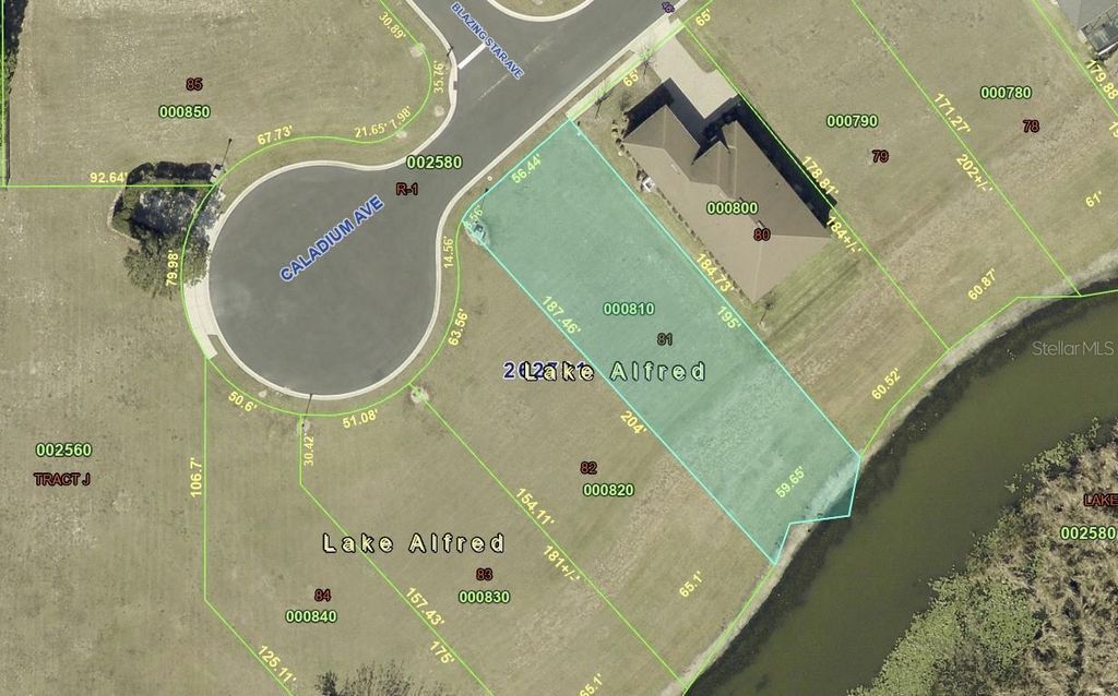 120 CALADIUM AVENUE, Lake Alfred, FL 33850