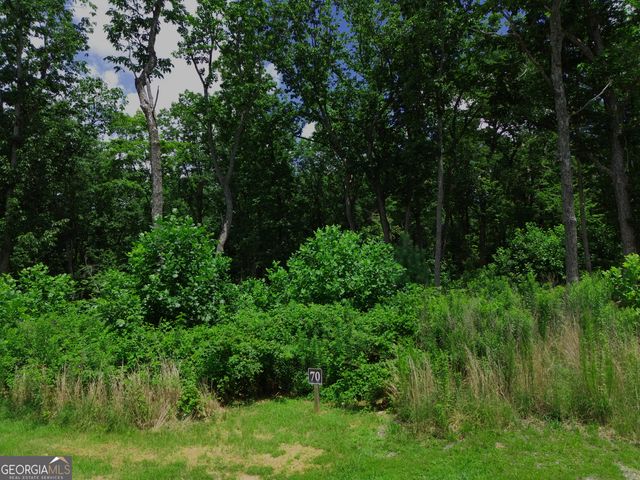LOT 70 High Summit Drive, Talking Rock, GA 30175
