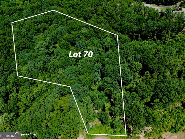 LOT 70 High Summit Drive, Talking Rock, GA 30175