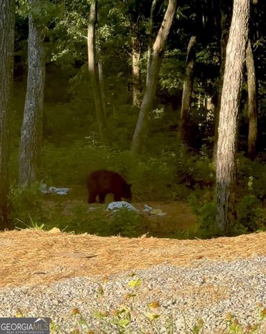 LOT 70 High Summit Drive, Talking Rock, GA 30175