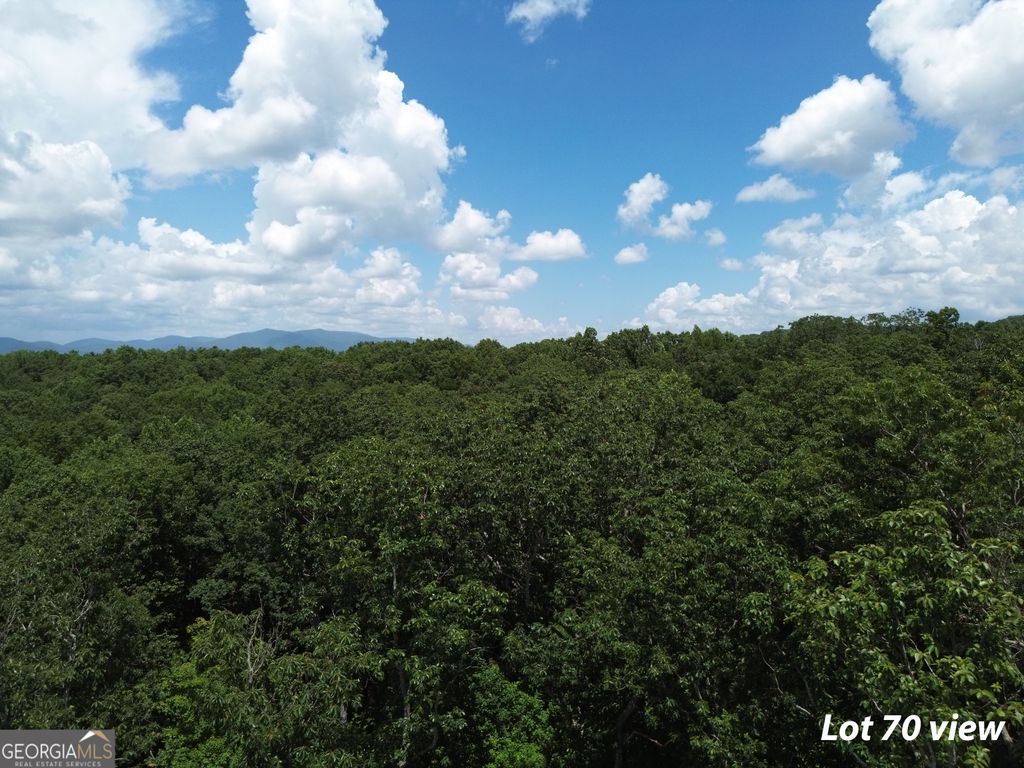 LOT 70 High Summit Drive, Talking Rock, GA 30175