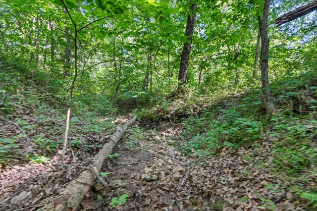17153 BUCK RUN CT, Boonville, MO 65233