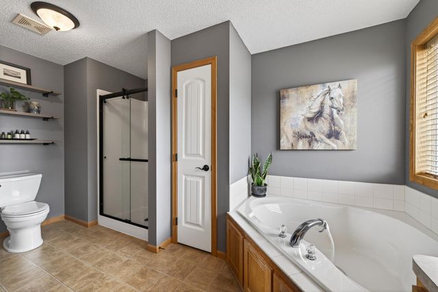 3730 169th Lane NE, Ham Lake, MN 55304