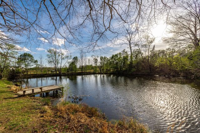 1075 Fannie Nicholson Rd, Chapmansboro, TN 37035