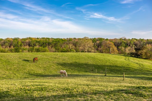 1075 Fannie Nicholson Rd, Chapmansboro, TN 37035