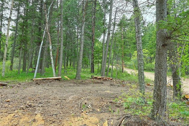 13114 Grey Hackle Drive, Larkspur, CO 80118