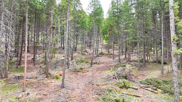 13114 Grey Hackle Drive, Larkspur, CO 80118