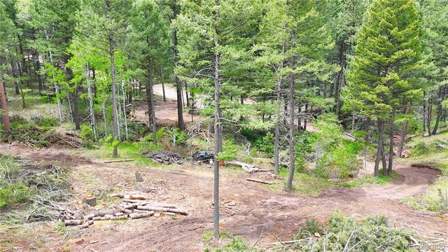 13114 Grey Hackle Drive, Larkspur, CO 80118