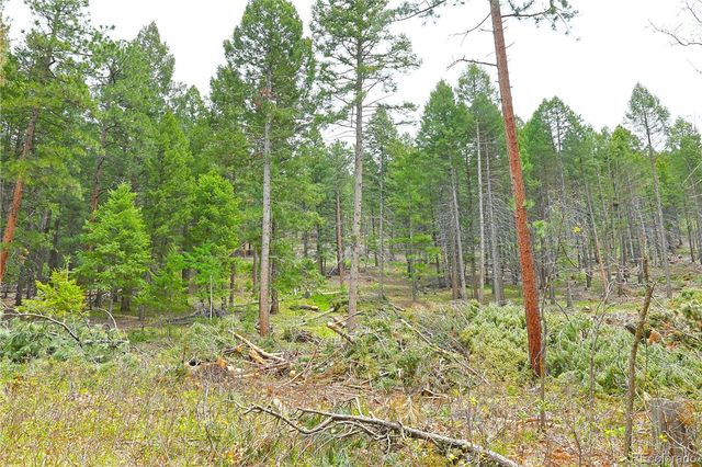 13114 Grey Hackle Drive, Larkspur, CO 80118