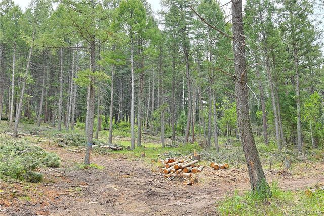 13114 Grey Hackle Drive, Larkspur, CO 80118