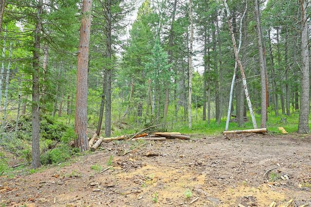 13114 Grey Hackle Drive, Larkspur, CO 80118