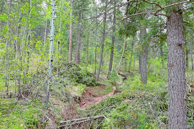 13114 Grey Hackle Drive, Larkspur, CO 80118