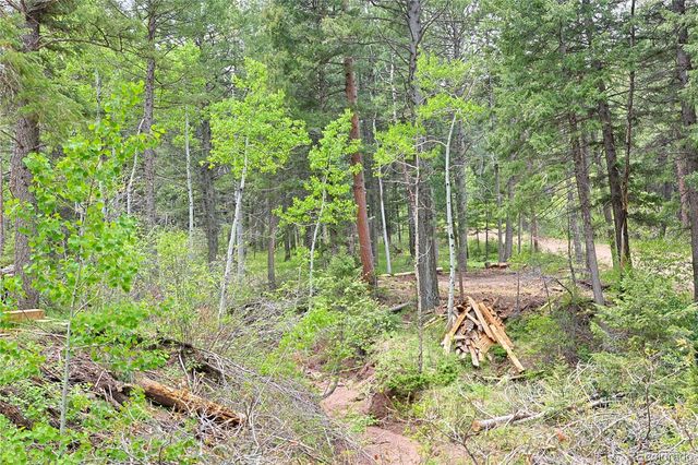 13114 Grey Hackle Drive, Larkspur, CO 80118