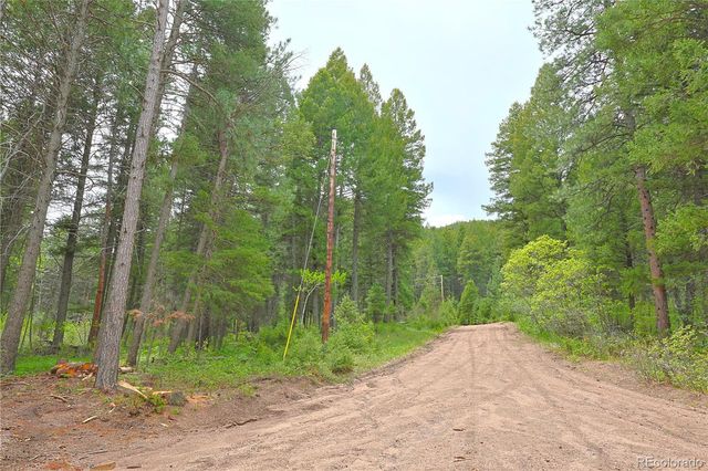 13114 Grey Hackle Drive, Larkspur, CO 80118