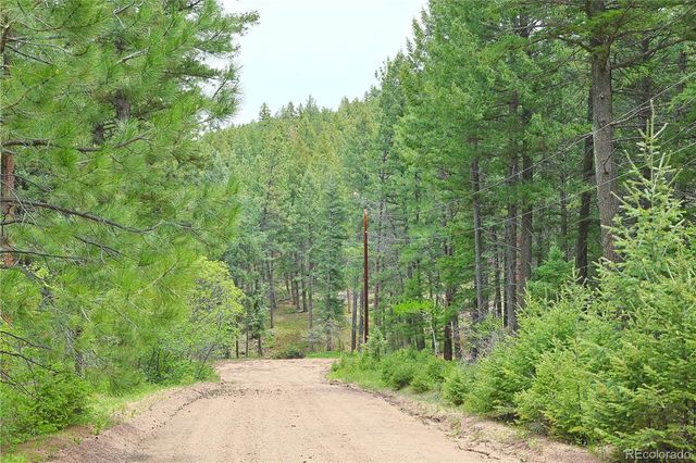 13114 Grey Hackle Drive, Larkspur, CO 80118