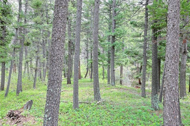 13114 Grey Hackle Drive, Larkspur, CO 80118