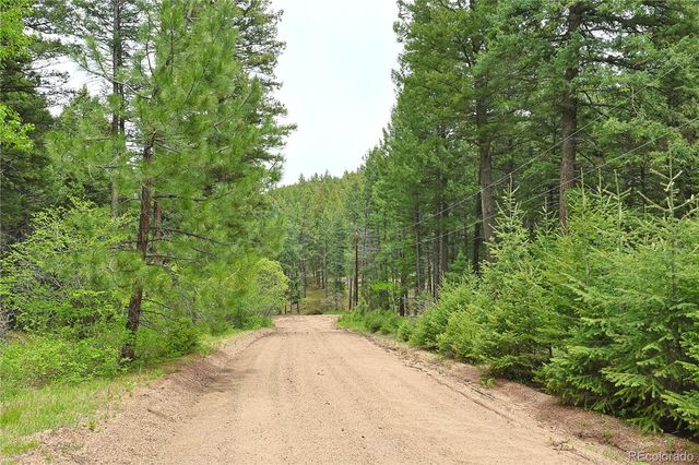 13114 Grey Hackle Drive, Larkspur, CO 80118