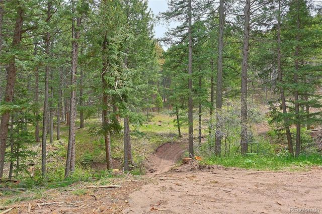13114 Grey Hackle Drive, Larkspur, CO 80118