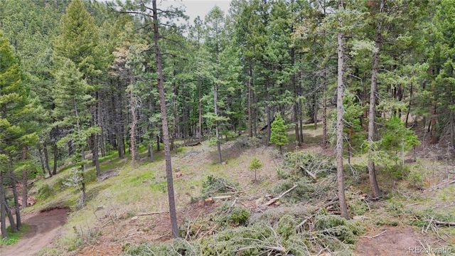 13114 Grey Hackle Drive, Larkspur, CO 80118