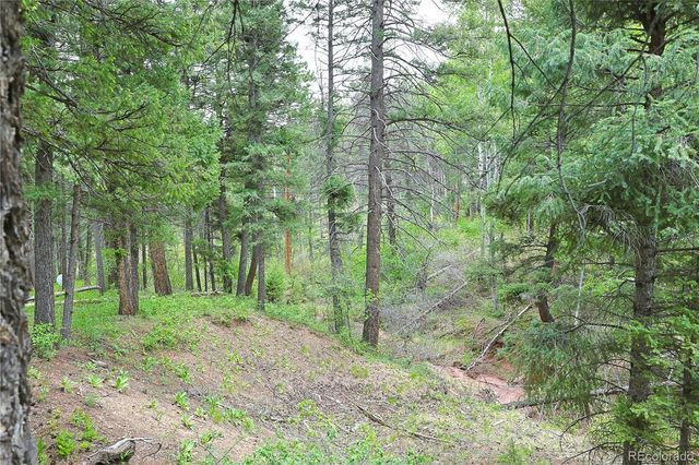 13114 Grey Hackle Drive, Larkspur, CO 80118