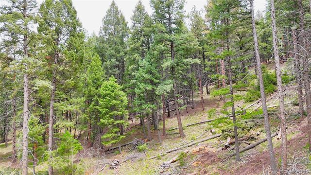 13114 Grey Hackle Drive, Larkspur, CO 80118