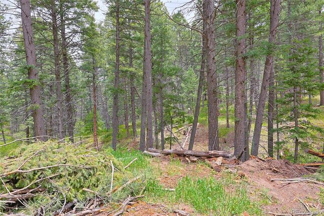 13114 Grey Hackle Drive, Larkspur, CO 80118