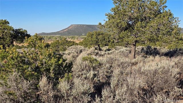 Lot 3714 Hartgrave Road, Fort Garland, CO 81133