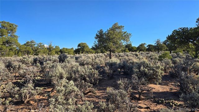 Lot 3714 Hartgrave Road, Fort Garland, CO 81133