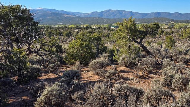 Lot 3714 Hartgrave Road, Fort Garland, CO 81133