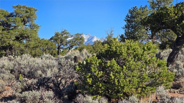 Lot 3714 Hartgrave Road, Fort Garland, CO 81133
