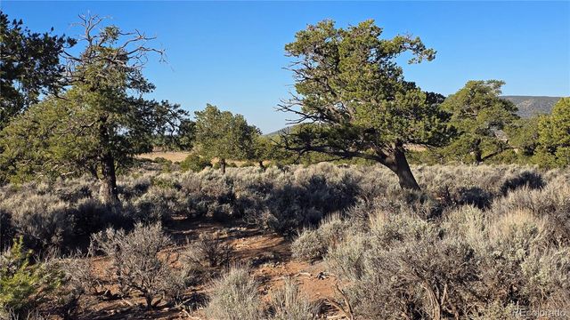 Lot 3714 Hartgrave Road, Fort Garland, CO 81133