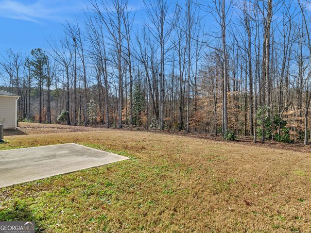 160 Grafton Street, Hampton, GA 30228