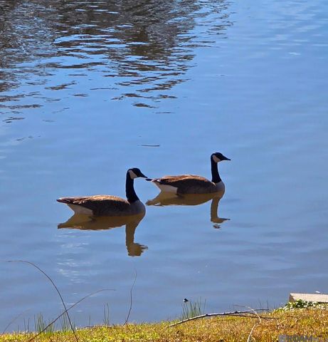 18167 Kenner Dr, Prairieville, LA 70769