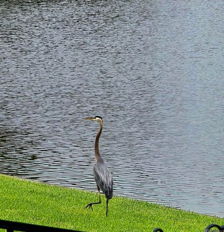 18167 Kenner Dr, Prairieville, LA 70769