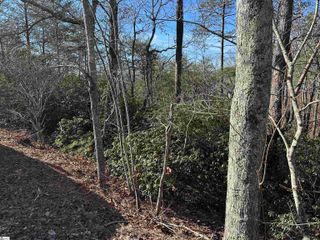 00 Caldonia Road, Landrum, SC 29356